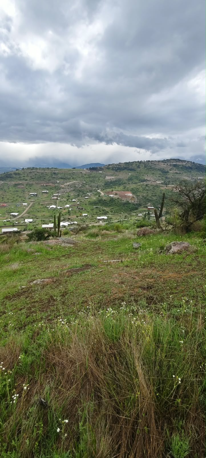 Parcela en venta en Coínco — foto 3