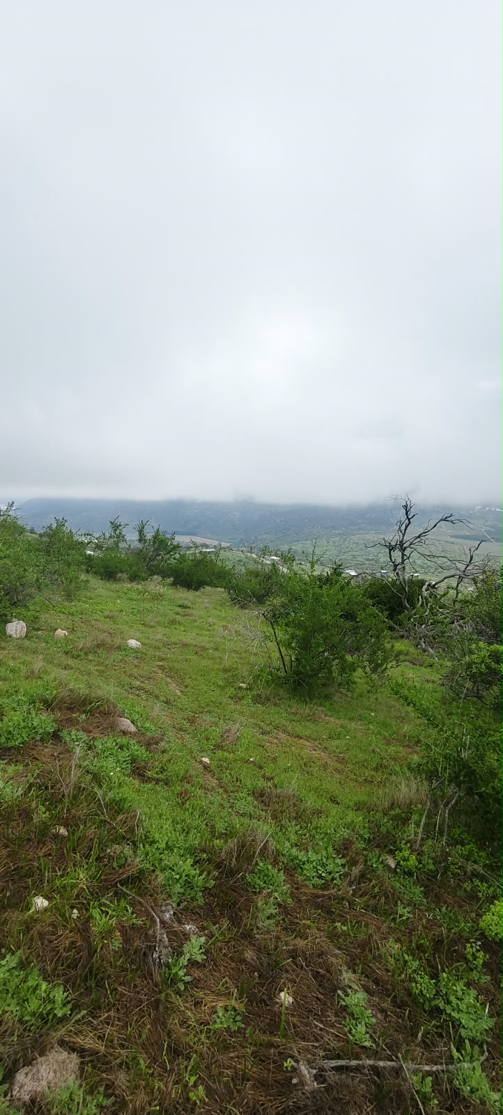 Parcela en venta en Coínco — foto 4