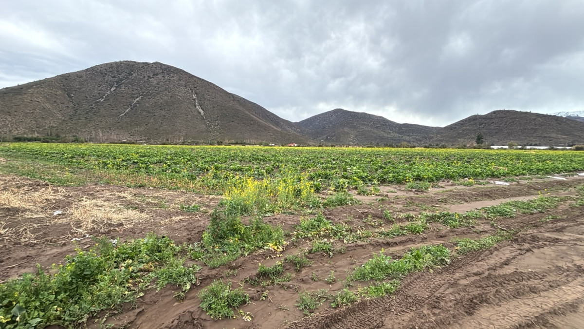 Terreno en venta en Putaendo — foto 1