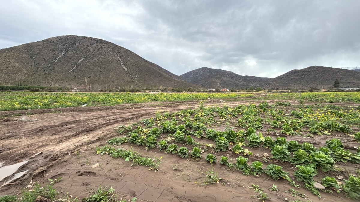 Terreno en venta en Putaendo — foto 2