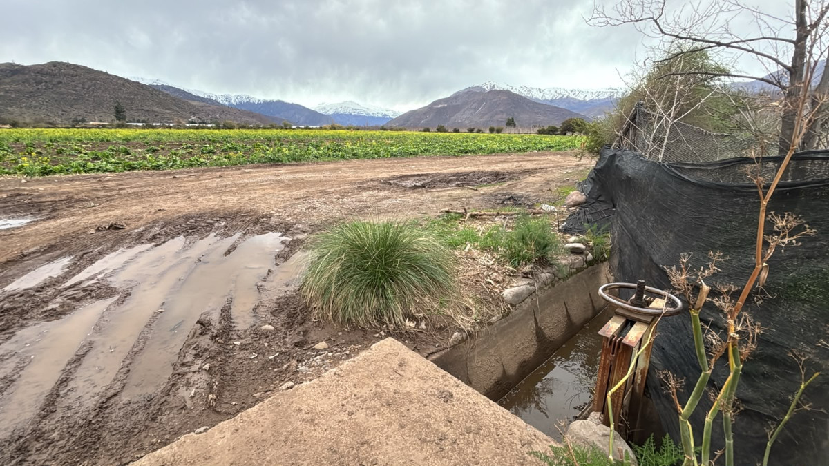 Terreno en venta en Putaendo — foto 3