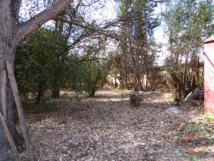Terreno en venta en San Felipe — foto 4