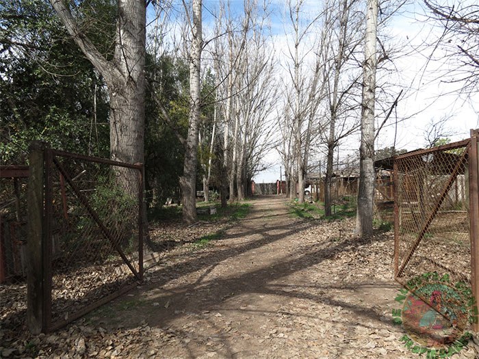Terreno en venta en San Felipe — foto 8