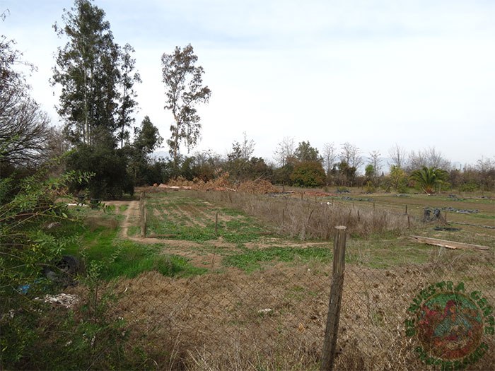 Terreno en venta en San Felipe — foto 9