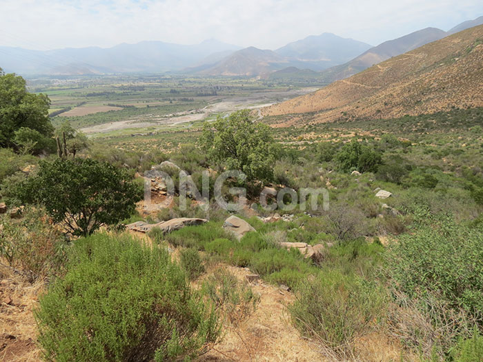 Campo en venta en Catemu — foto 4