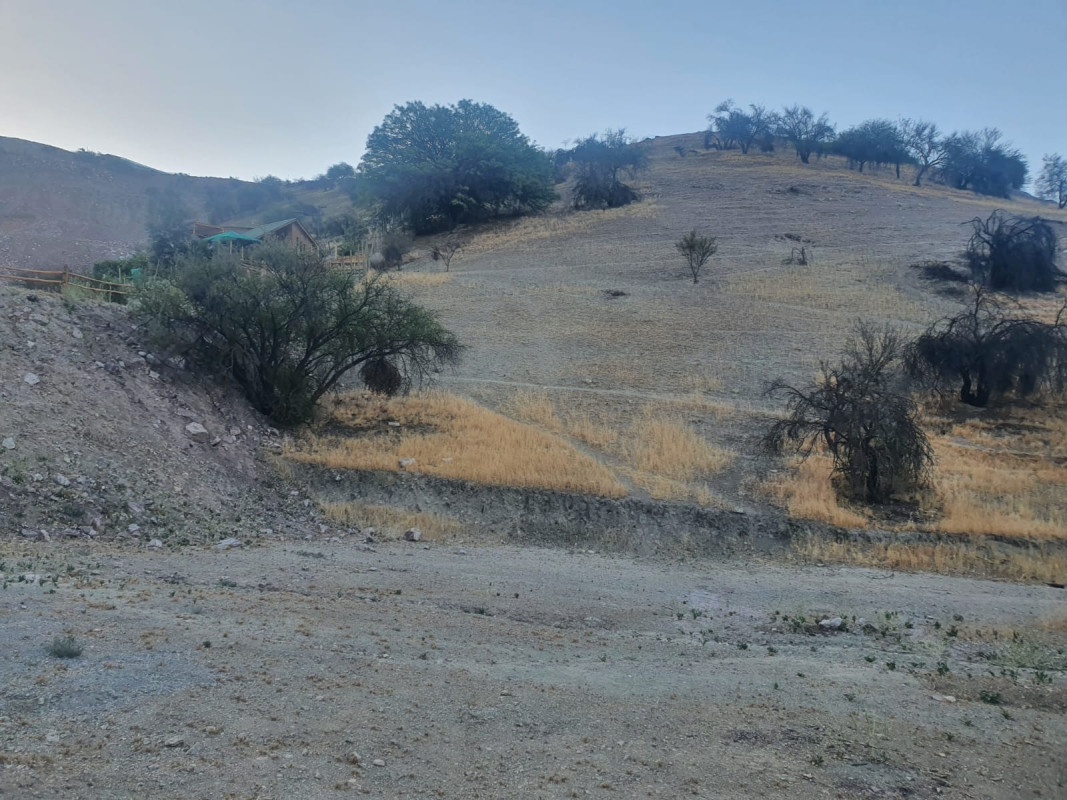 Terreno en venta en Rinconada — foto 4