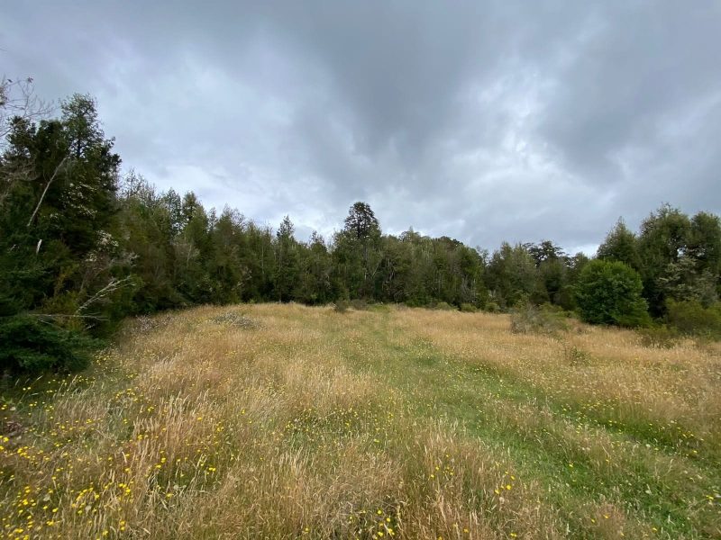 Parcela en venta en Dalcahue — foto 10