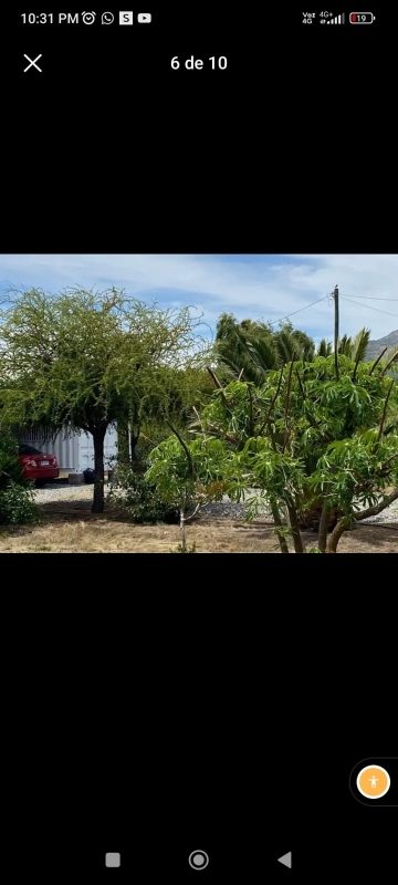Parcela en venta en Peralillo — foto 4