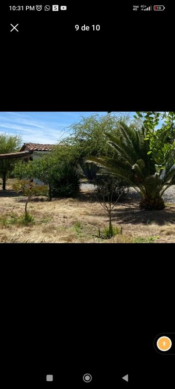 Parcela en venta en Peralillo — foto 5