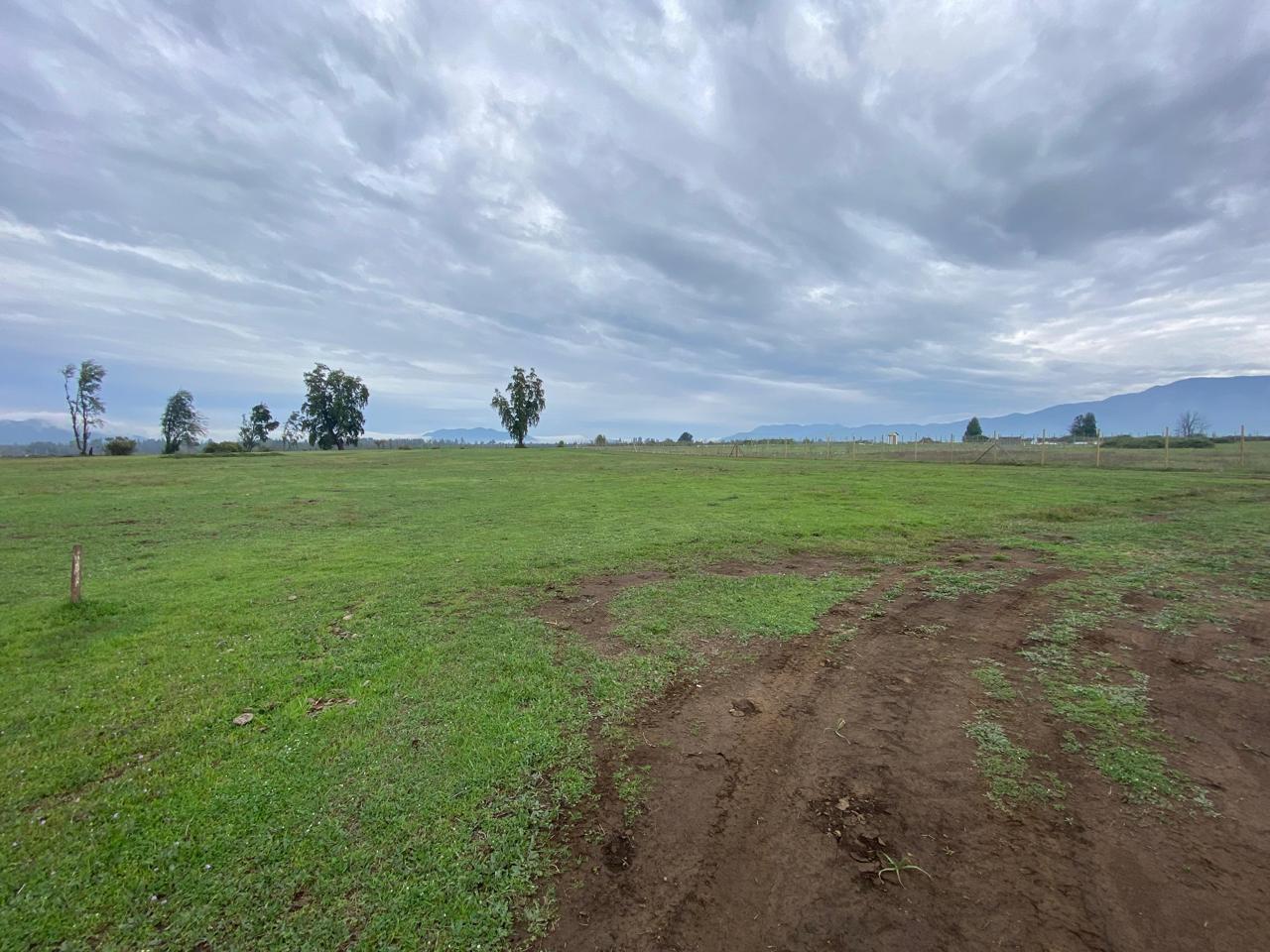 Parcela en venta en Molina — foto 2