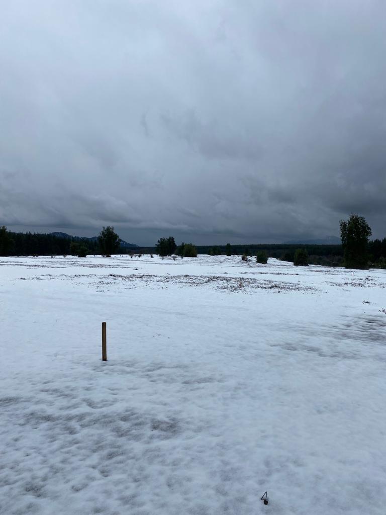 Parcela en venta en Molina — foto 4