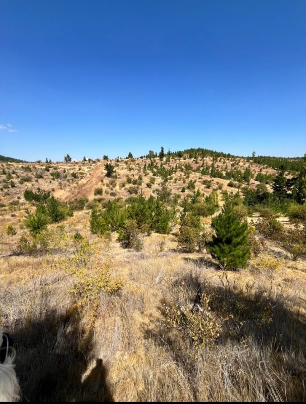 Parcela en venta en San Javier — foto 1