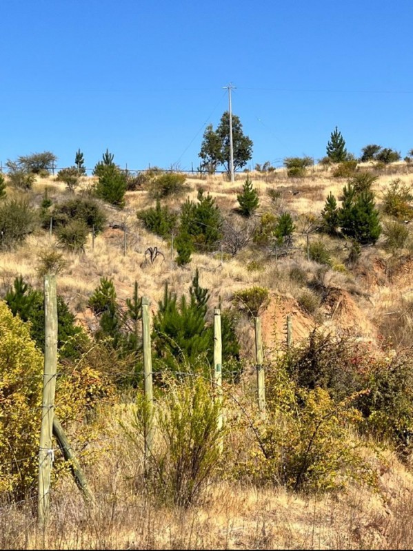 Parcela en venta en San Javier — foto 4