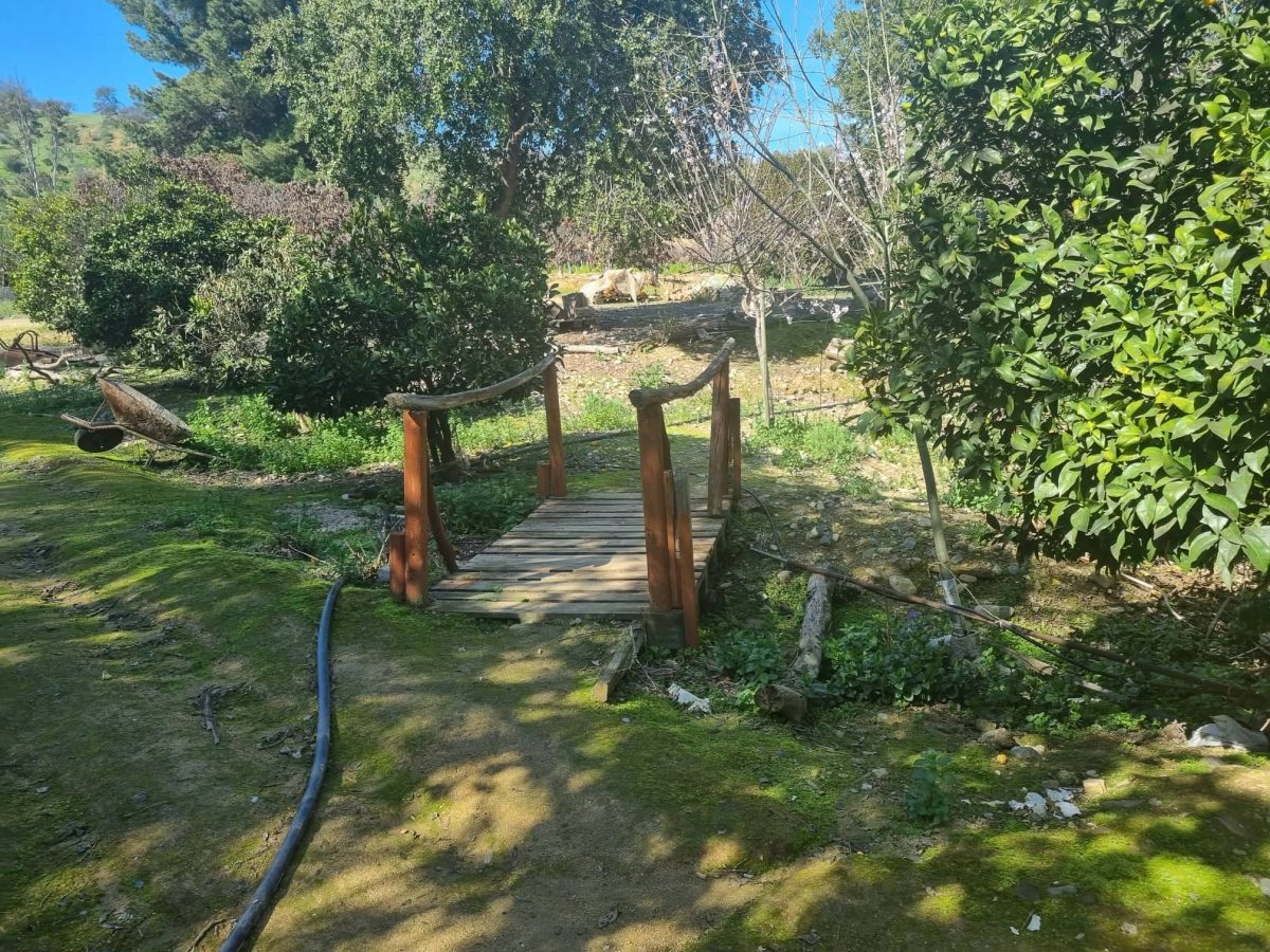 Parcela en venta en Quilpué — foto 4