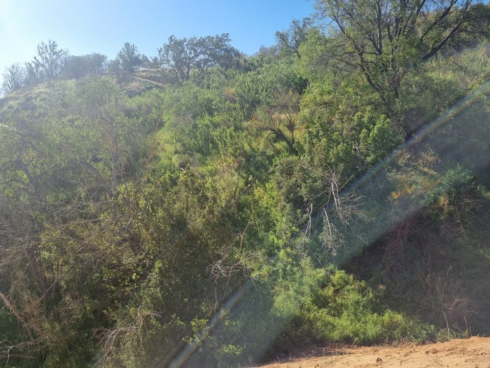 Parcela en venta en Quilpué — foto 8
