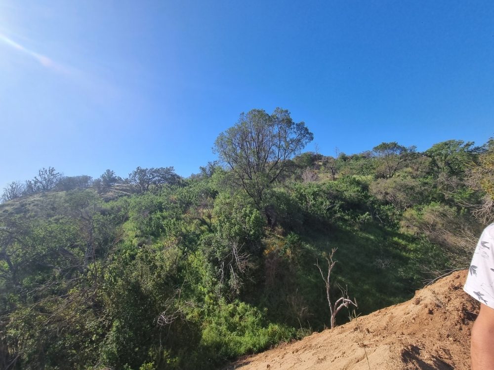 Parcela en venta en Quilpué — foto 9