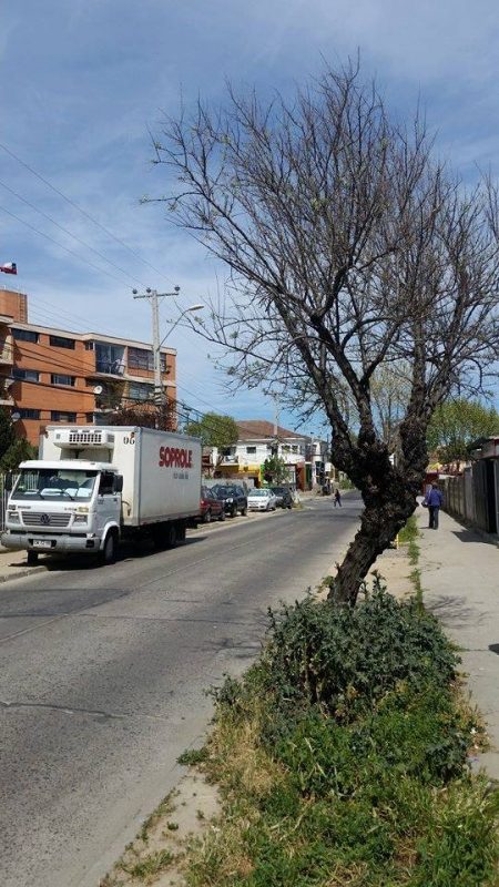 Terreno en venta en Quilpué — foto 2