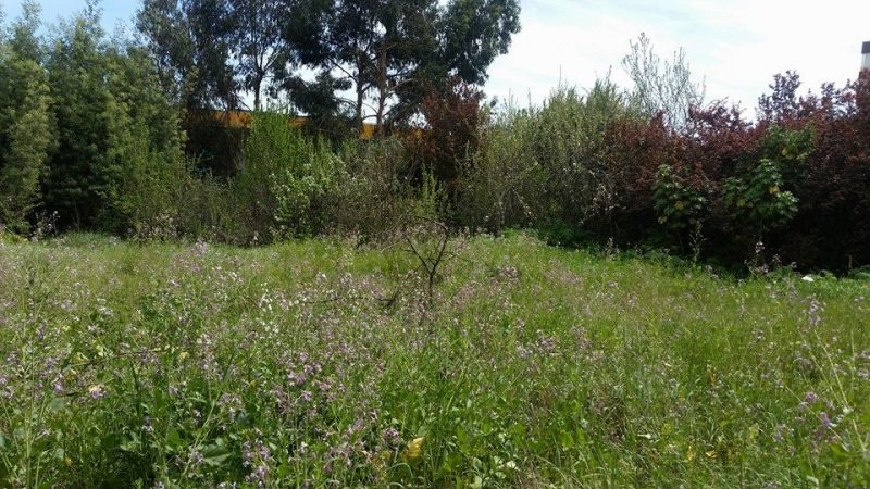 Terreno en venta en Quilpué — foto 4