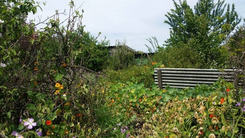 Terreno en venta en Quilpué — foto 8
