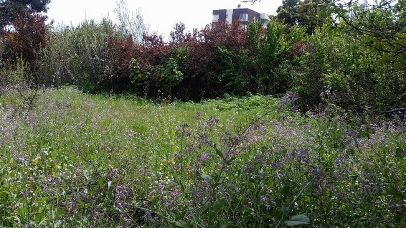 Terreno en venta en Quilpué — foto 10