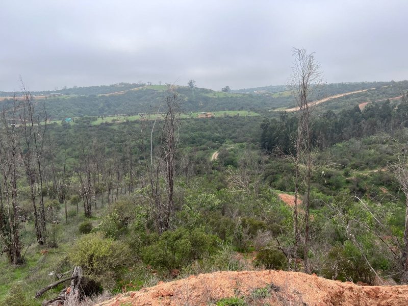 Parcela en venta en Limache — foto 2