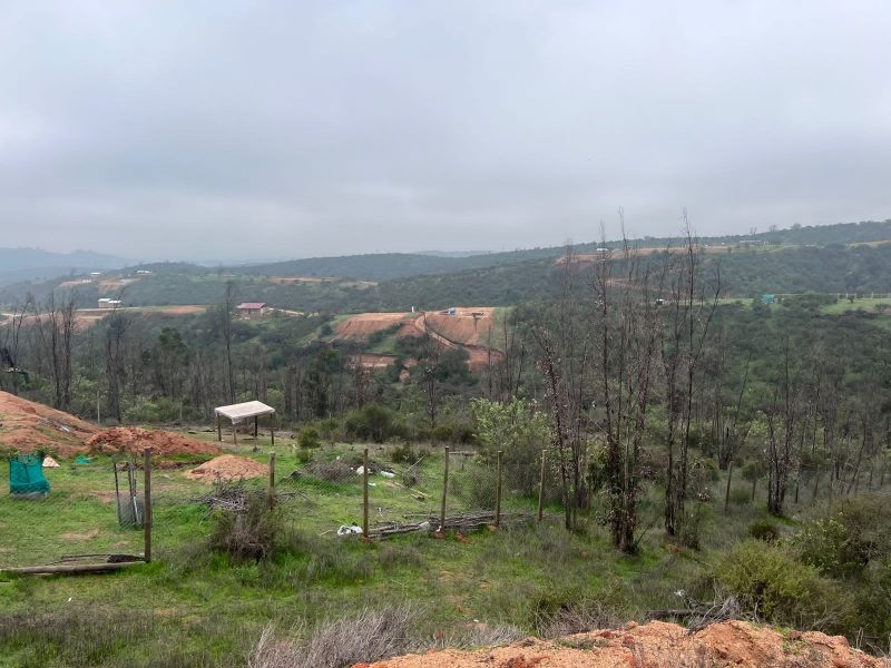 Parcela en venta en Limache — foto 3
