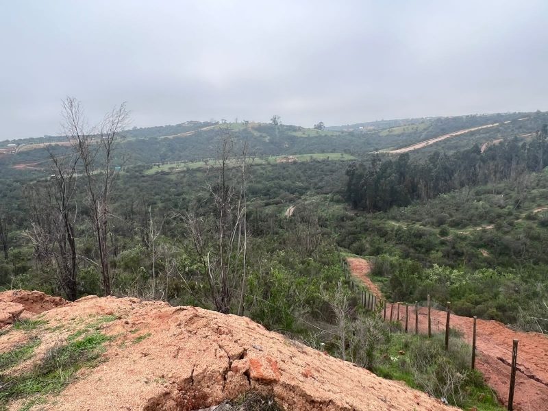 Parcela en venta en Limache — foto 4