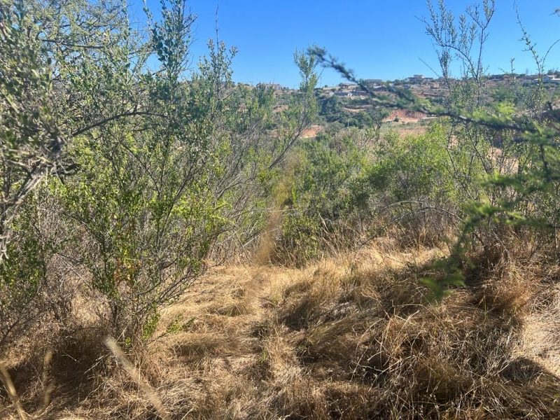 Parcela en venta en Villa Alemana — foto 8