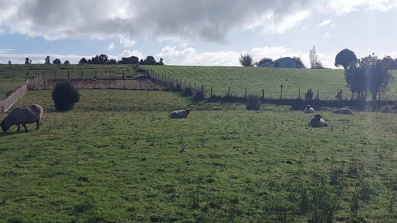 Parcela en venta en Quemchi — foto 2