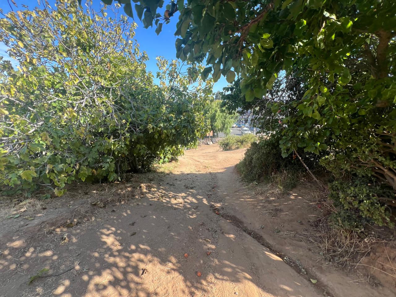 Terreno en venta en Quilpué — foto 5