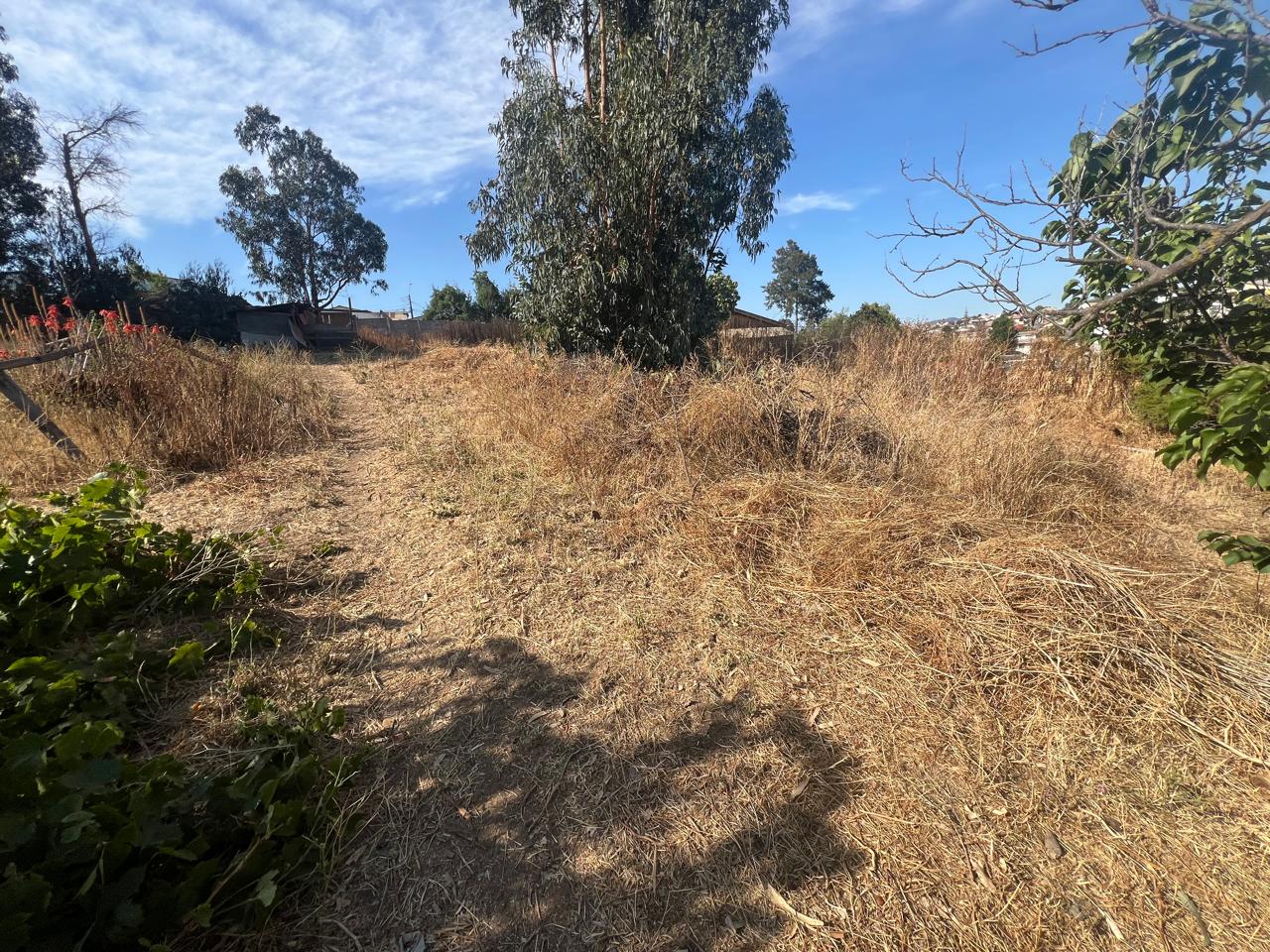 Terreno en venta en Quilpué — foto 9