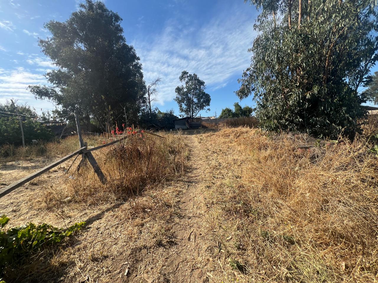 Terreno en venta en Quilpué — foto 10