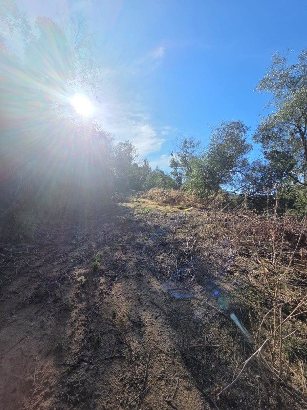 Parcela en venta en Quilpué — foto 5