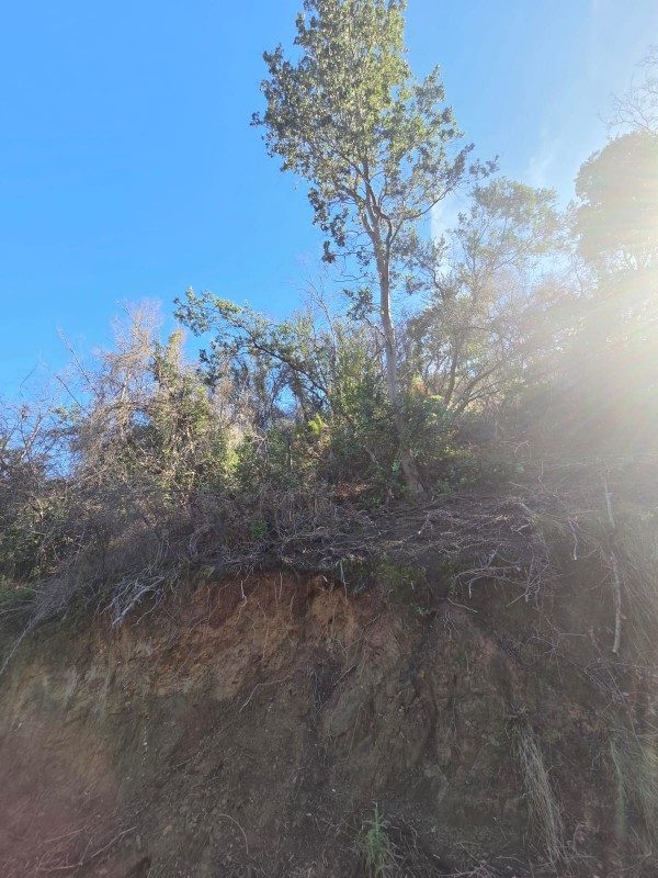 Parcela en venta en Quilpué — foto 7