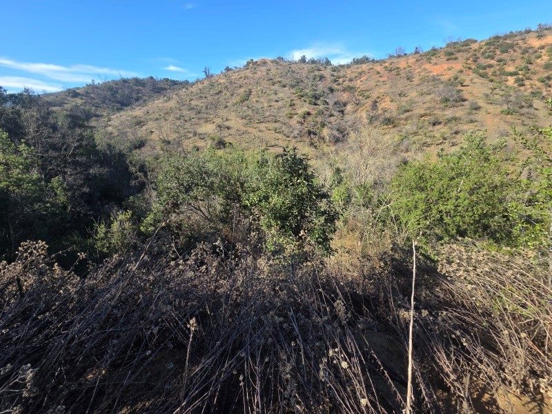 Parcela en venta en Quilpué — foto 8