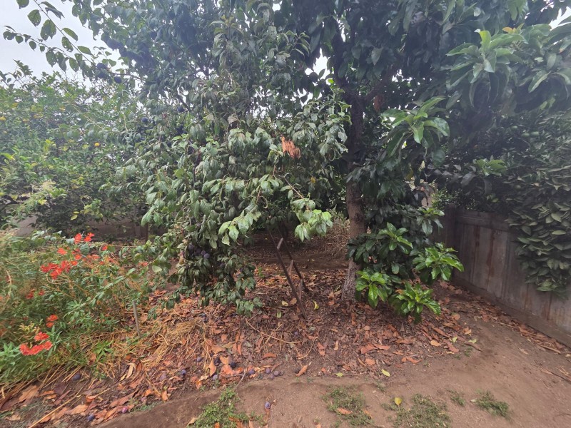 Casa en venta en Limache — foto 4