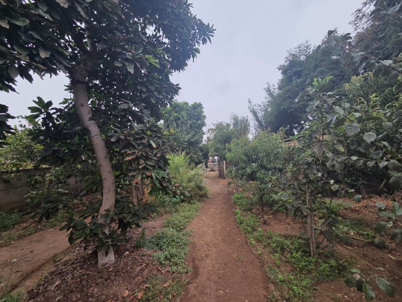 Casa en venta en Limache — foto 5
