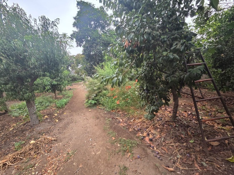 Casa en venta en Limache — foto 8