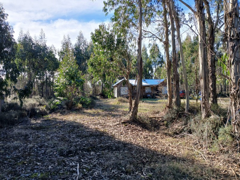Parcela en venta en Puerto Montt — foto 10