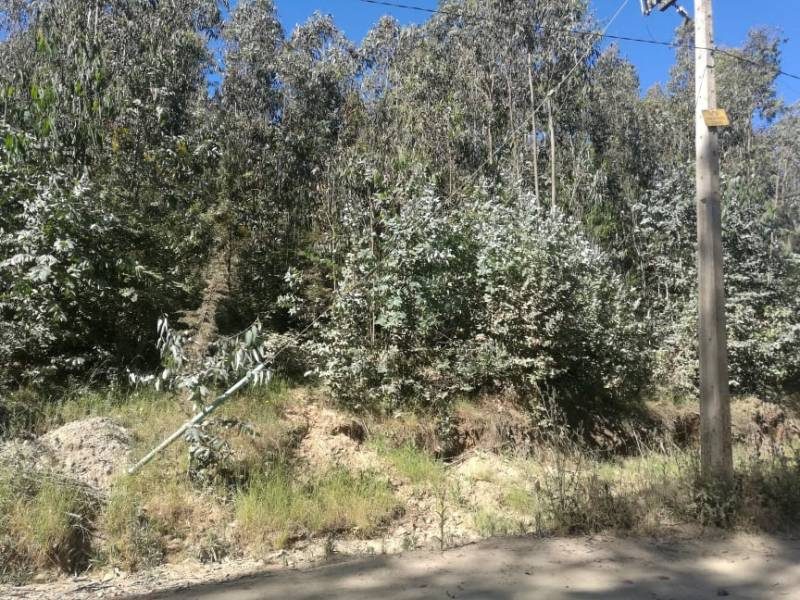 Terreno en venta en Valparaíso — foto 5
