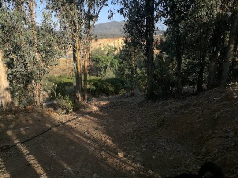 Terreno en venta en Valparaíso — foto 6