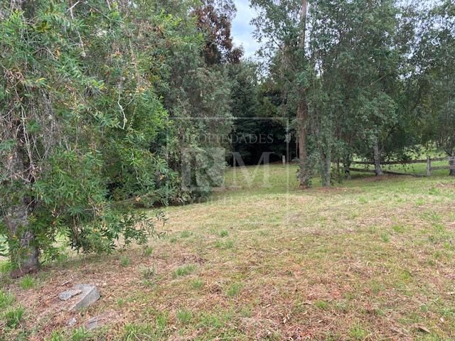 Terreno en venta en Valdivia — foto 4