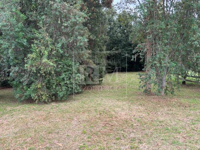 Terreno en venta en Valdivia — foto 5