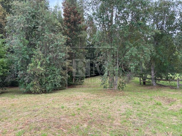 Terreno en venta en Valdivia — foto 9
