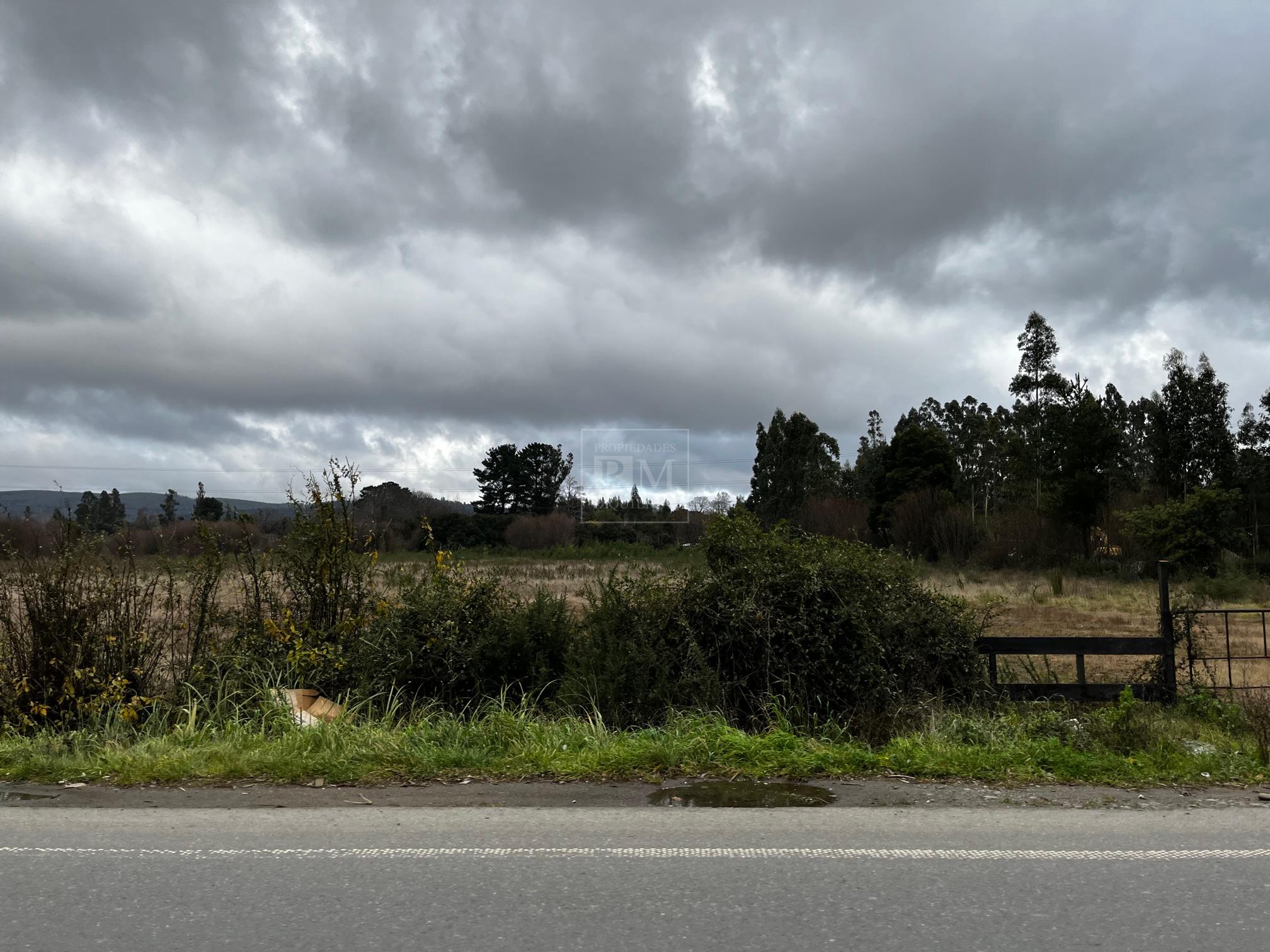Terreno en venta en Valdivia — foto 5