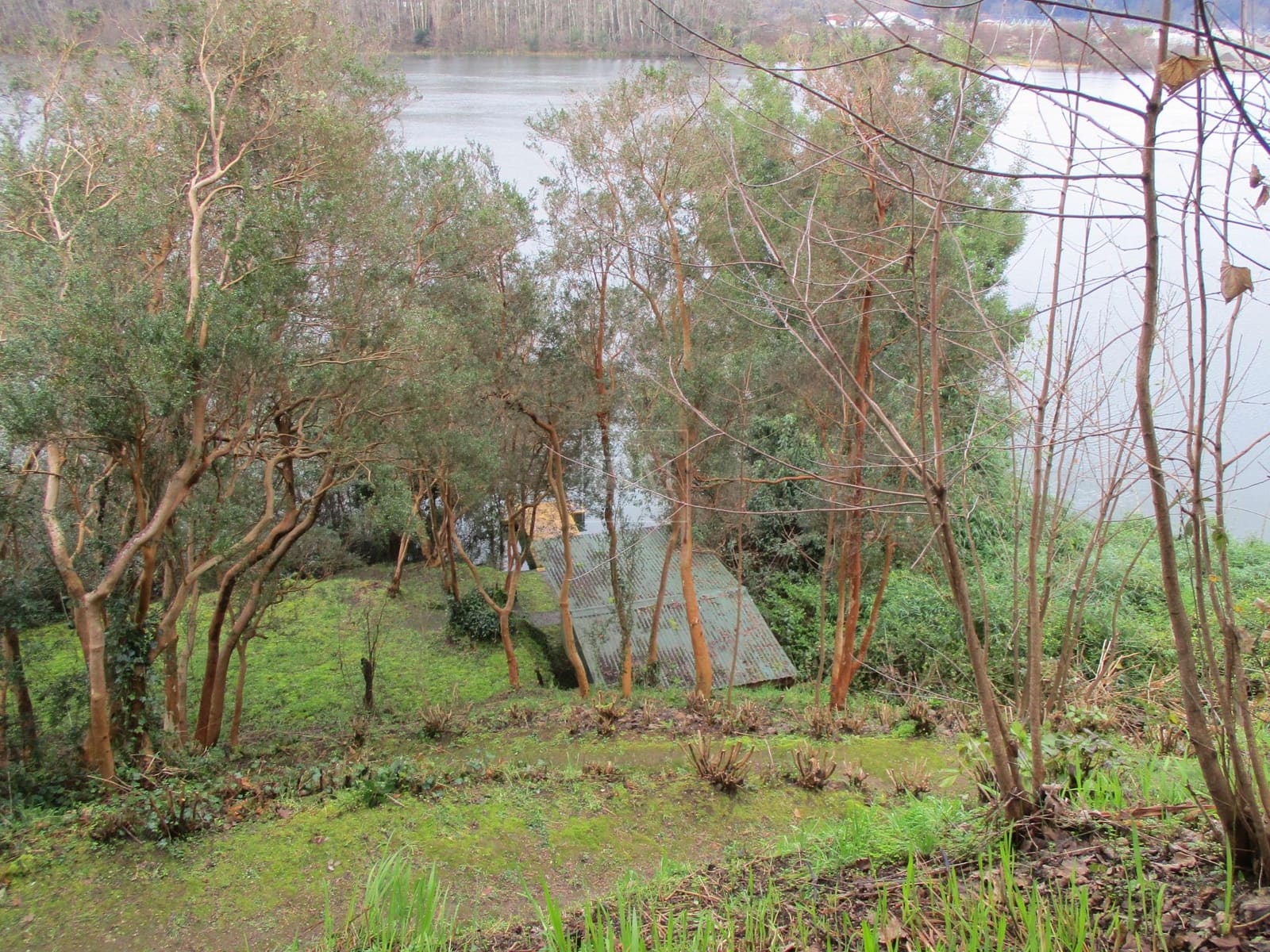 Casa en venta en Valdivia — foto 10
