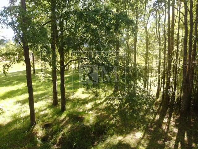 Terreno en venta en Futrono — foto 5
