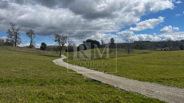 Parcela en venta en Futrono — foto 4