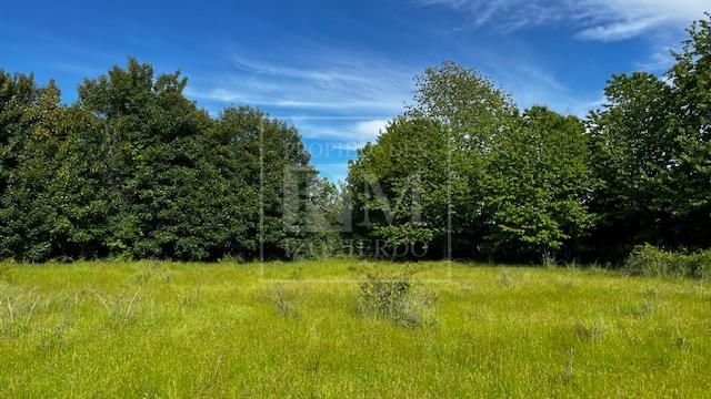 Parcela en venta en Mariquina — foto 6