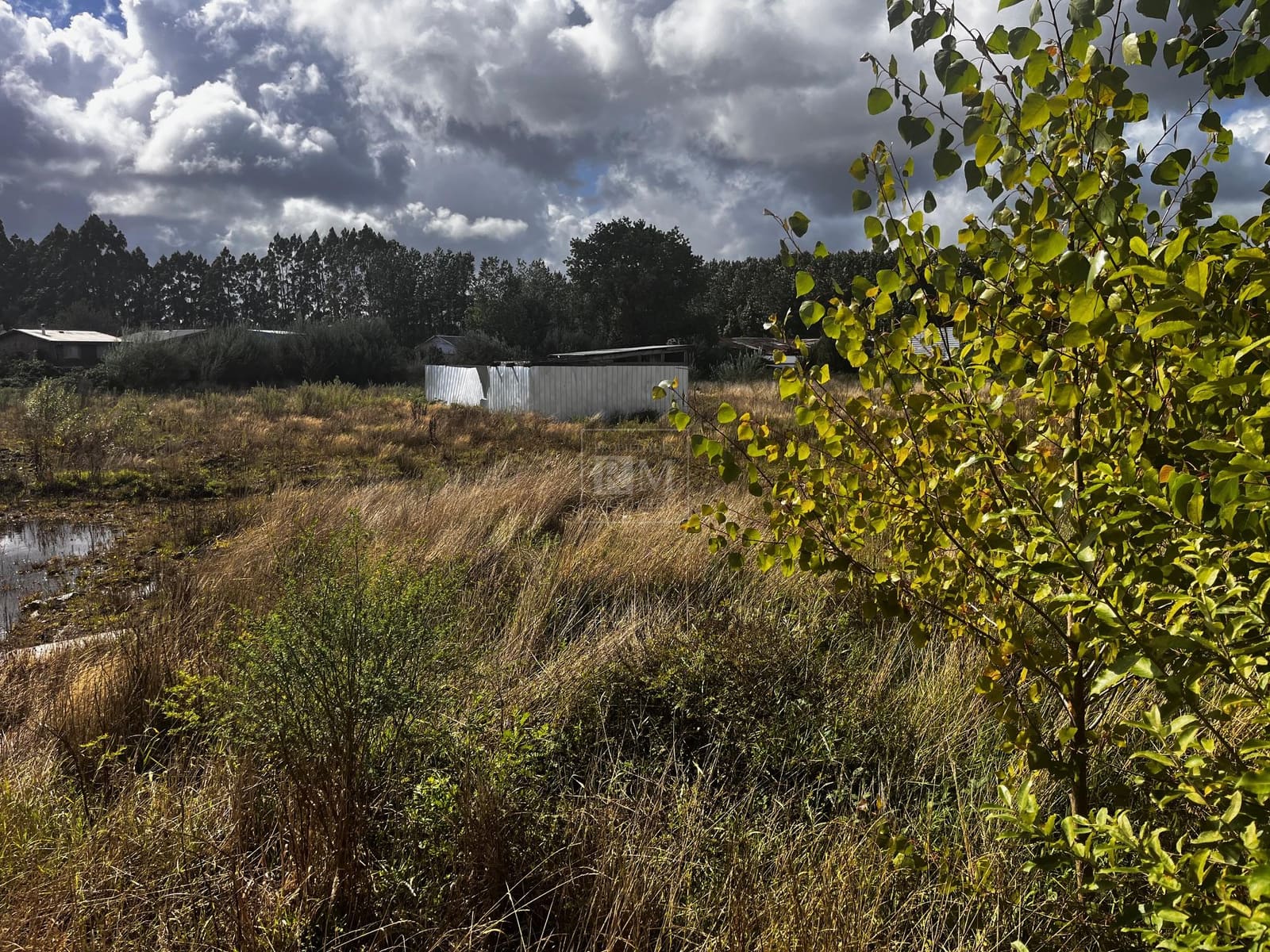 Terreno en venta en Valdivia — foto 2